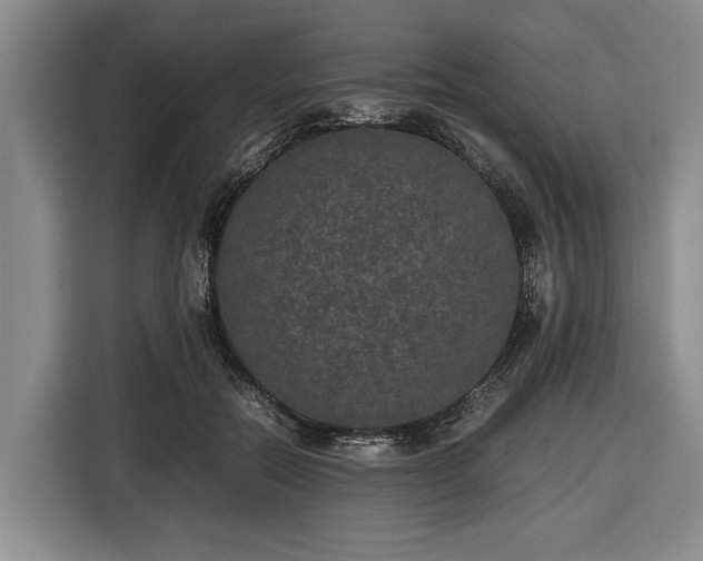 X0000116420554200912151000