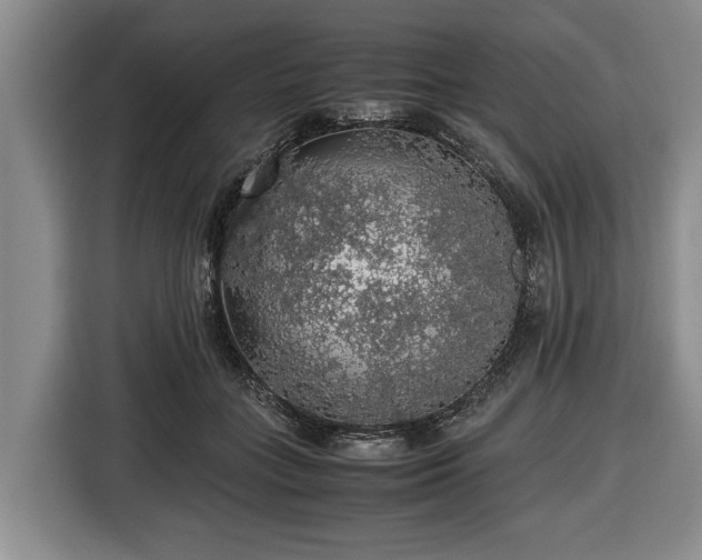 X0000116420555200912151000