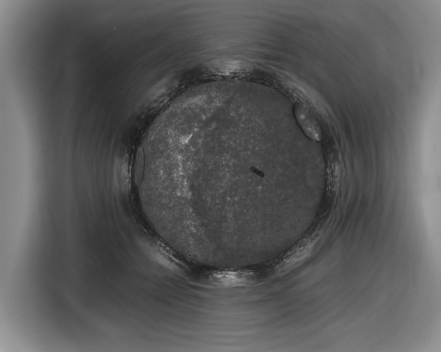 X0000116420558200912151000