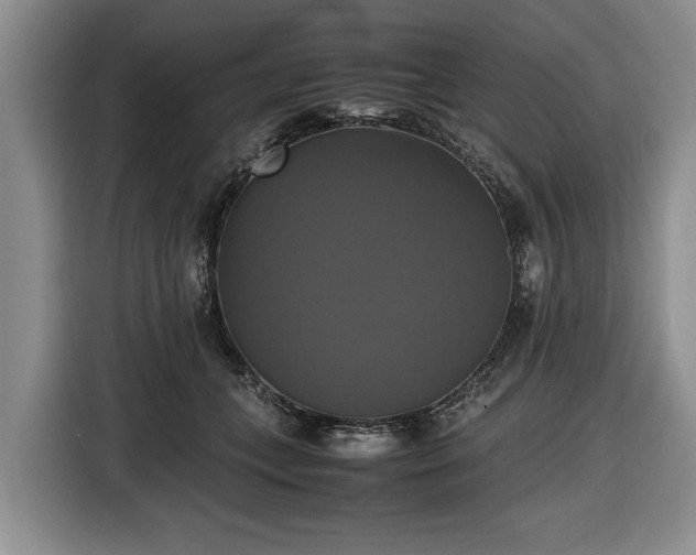 X0000116420559200912151000