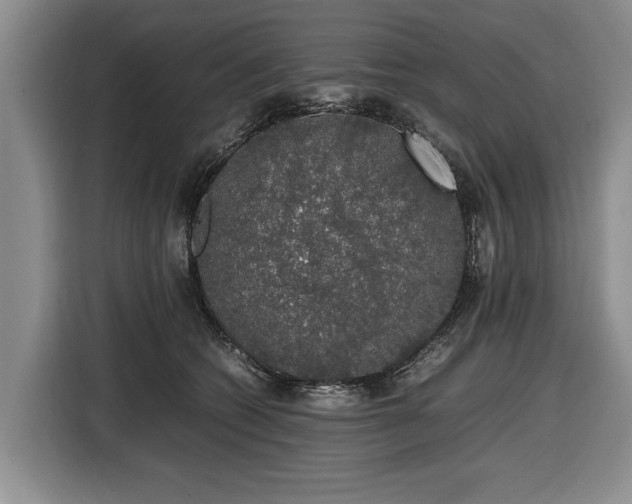X0000116420562200912151000