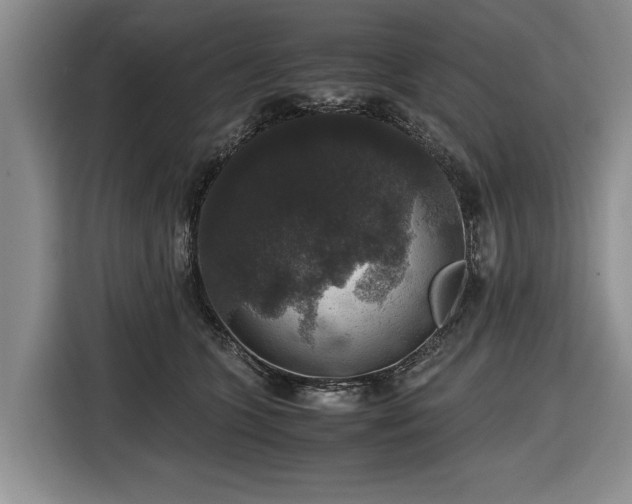 X0000116420563200912151000
