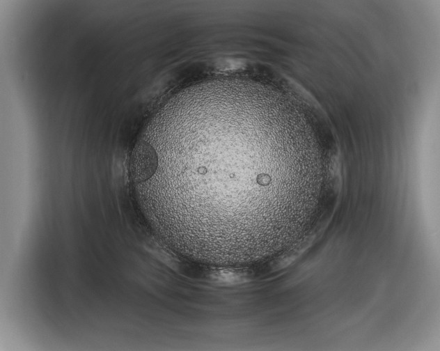 X0000116420565200912151000