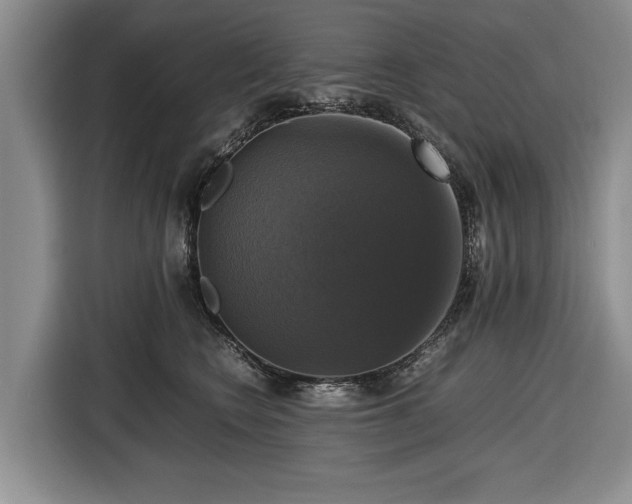 X0000116420566200912151000