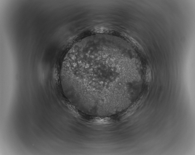 X0000116420569200912151000