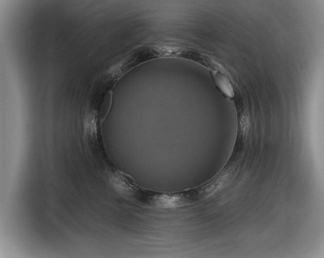 X0000116420570200912151000