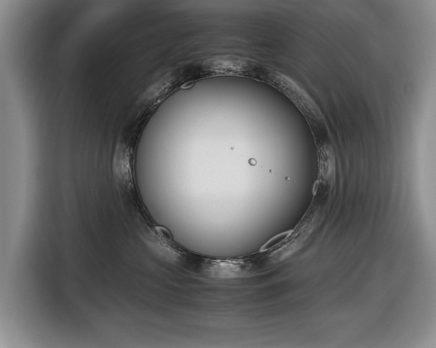 X0000116420573200912151000