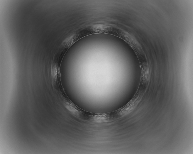 X0000116420574200912151000