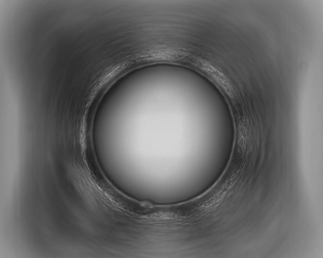 X0000116420578200912151000