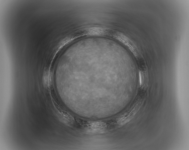 X0000116420579200912151000