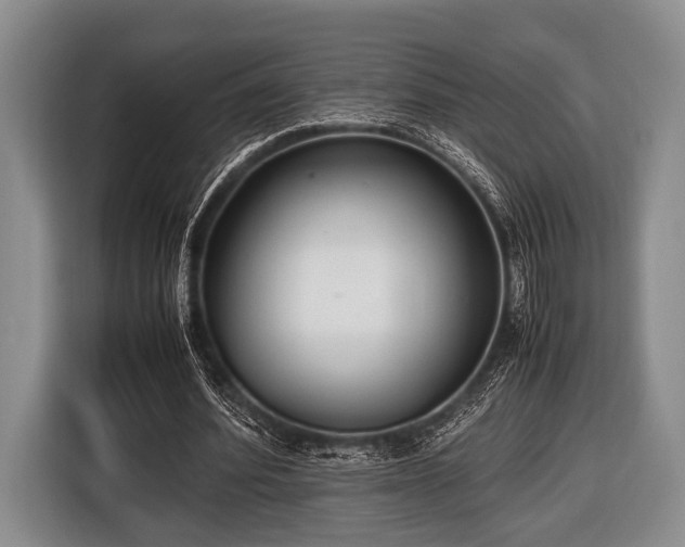 X0000116420580200912151000