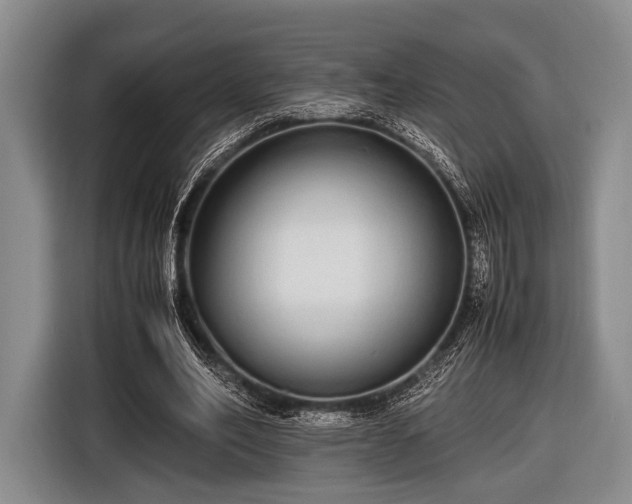 X0000116420582200912151000
