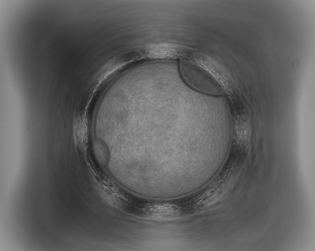 X0000116420583200912151000