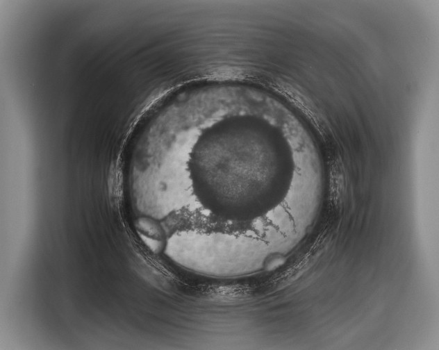 X0000116420584200912151000