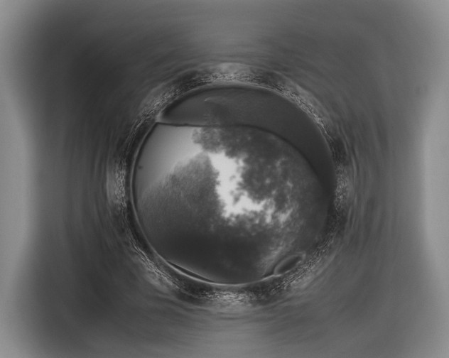 X0000116420585200912151000