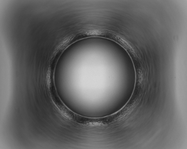 X0000116420586200912151000