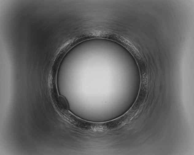 X0000116420587200912151000