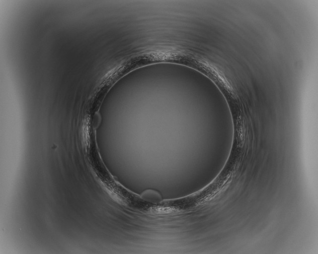 X0000116420590200912151000