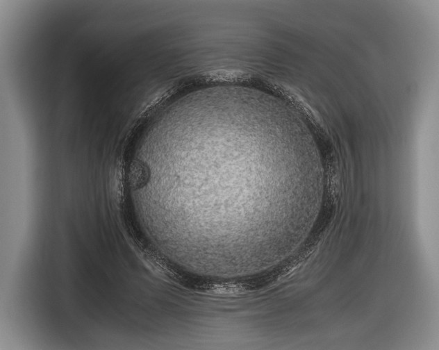 X0000116420591200912151000