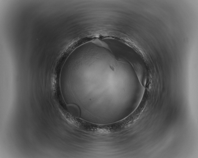 X0000116420592200912151000