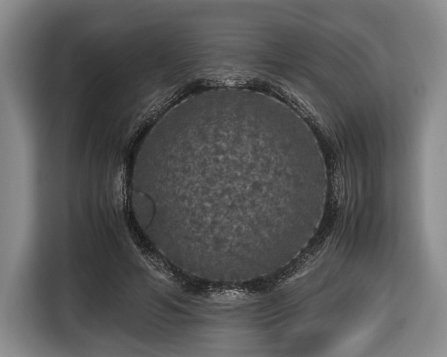 X0000116420594200912151000