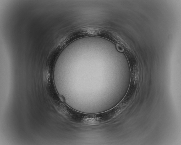 X0000116420595200912151000