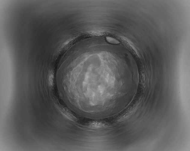 X0000116420596200912151000