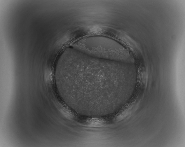 X0000116420597200912151000