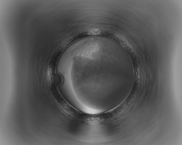 X0000116420598200912151000
