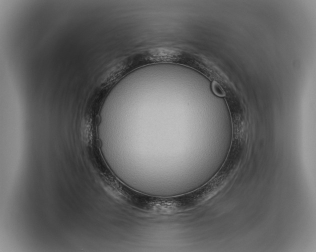 X0000116420599200912151000