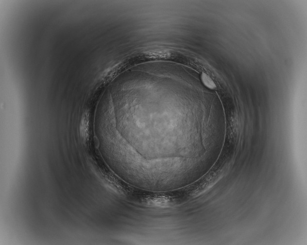 X0000116420600200912151000