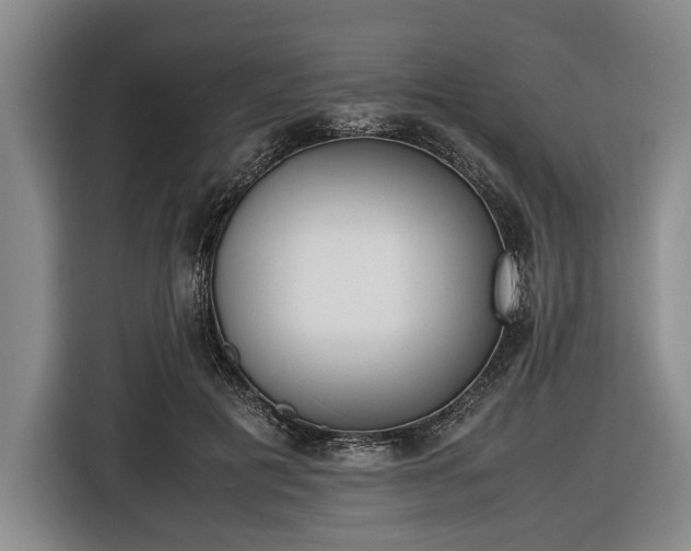 X0000116420601200912151000