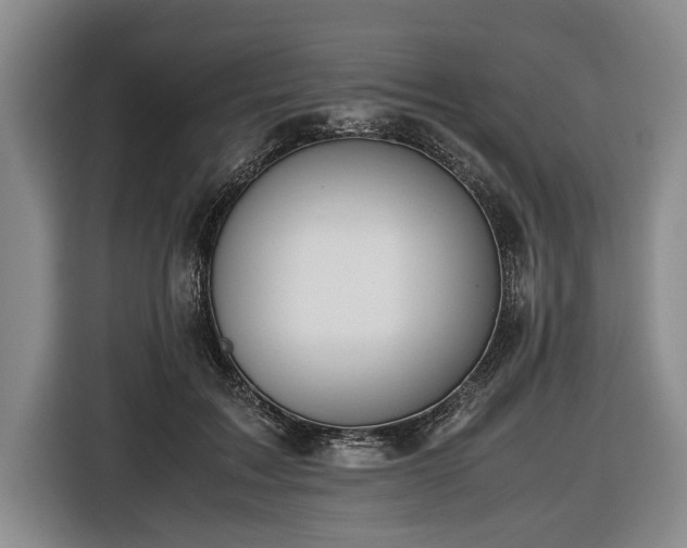 X0000116420603200912151000