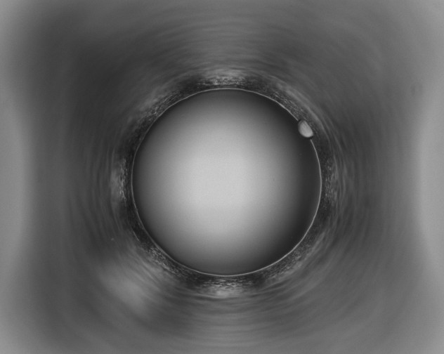 X0000116420604200912150959