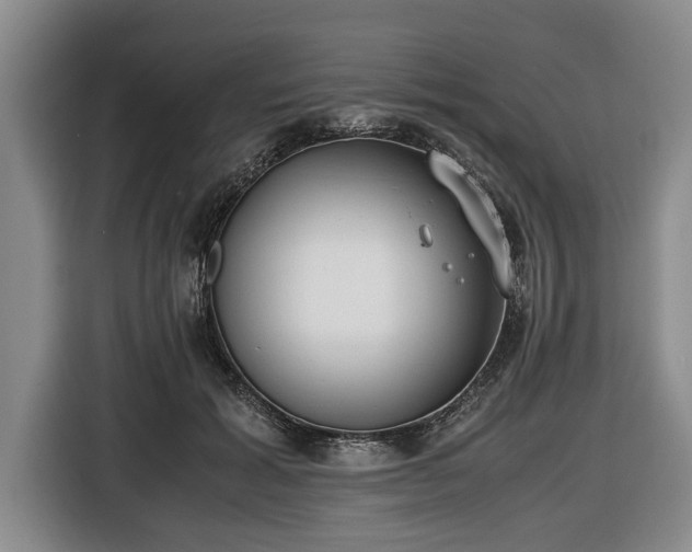 X0000116420605200912150959