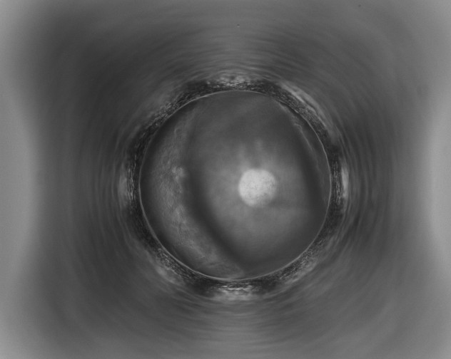 X0000116420606200912150959