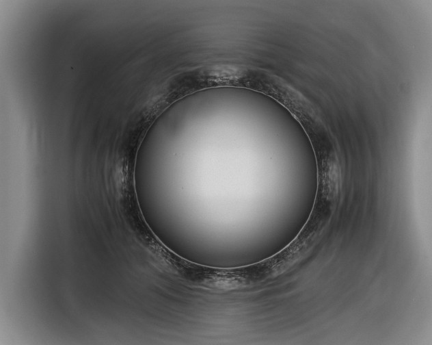 X0000116420608200912150959