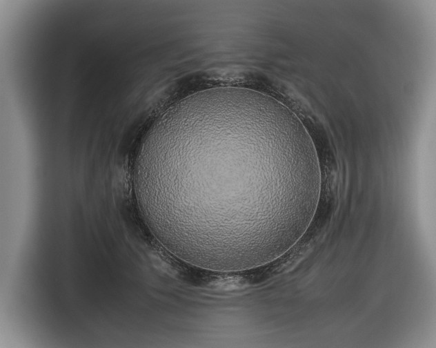 X0000116420609200912150959