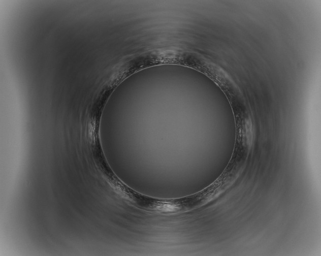 X0000116420610200912150959