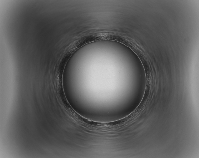 X0000116420611200912150959