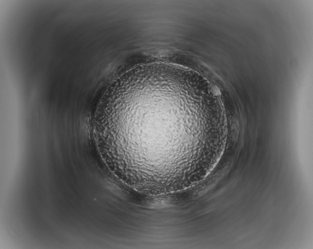 X0000116420612200912150959