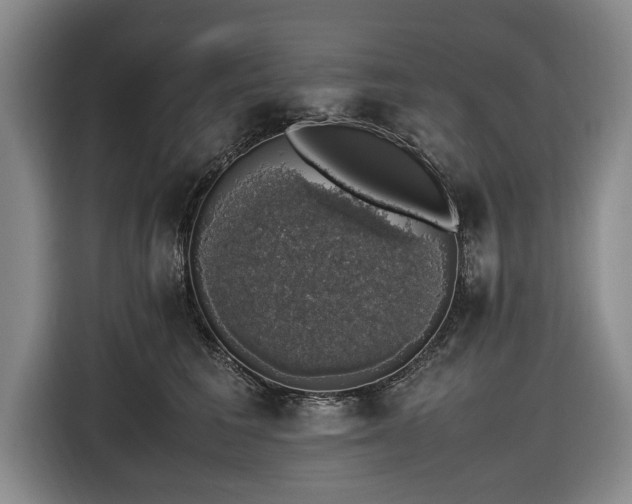 X0000116420613200912150959