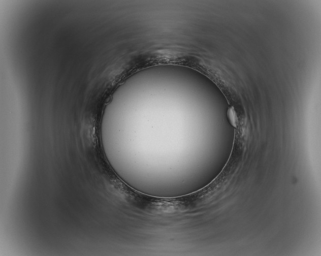 X0000116420615200912150959