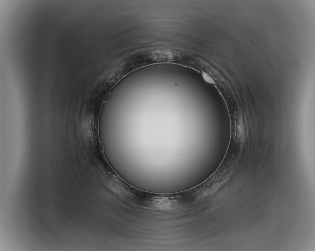 X0000116420616200912150959