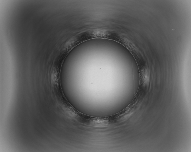 X0000116420619200912150959