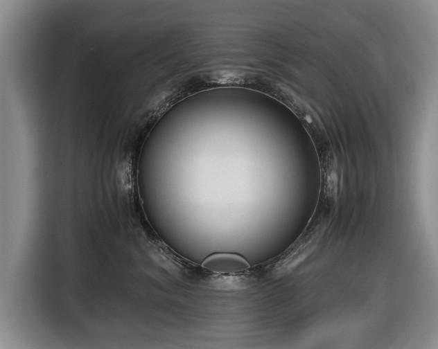 X0000116420620200912150959