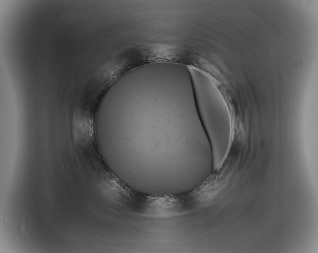 X0000116420621200912150959