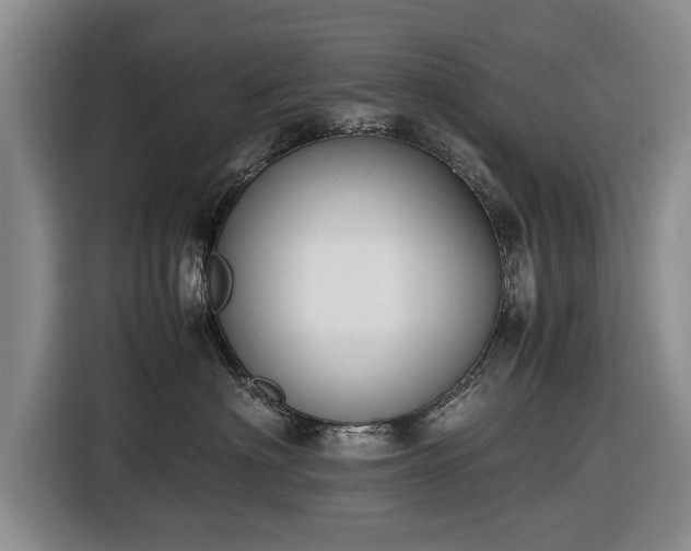 X0000116420622200912150959
