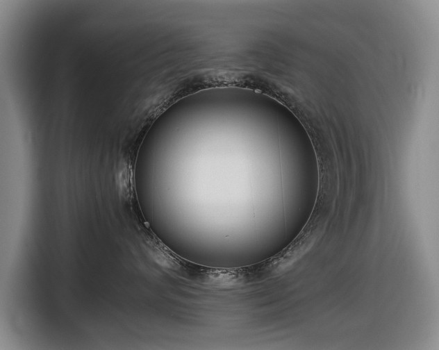 X0000116420624200912150959
