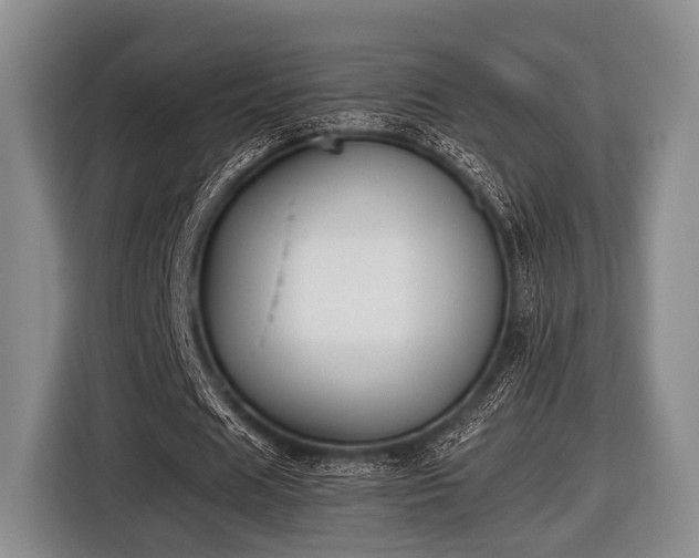 X0000116420625200912150959